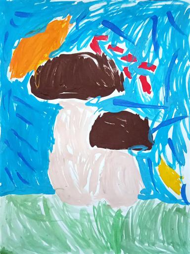 Timosha's picture 'Mushroom Brothers'