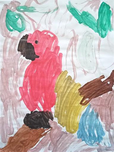 Timosha's picture 'Important Parrot'